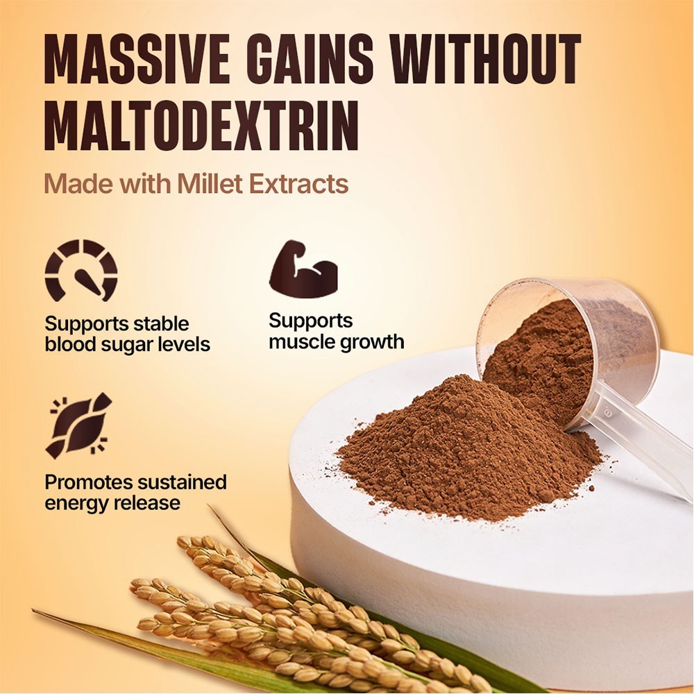 BeastLife 22g High Protein Mass Gainer - No Maltodextrin (Belgian chocolate)