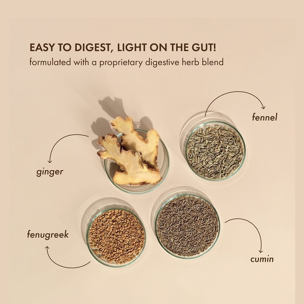 Cosmix No-Nonsense Plant Protein (Indonesian Cacao)