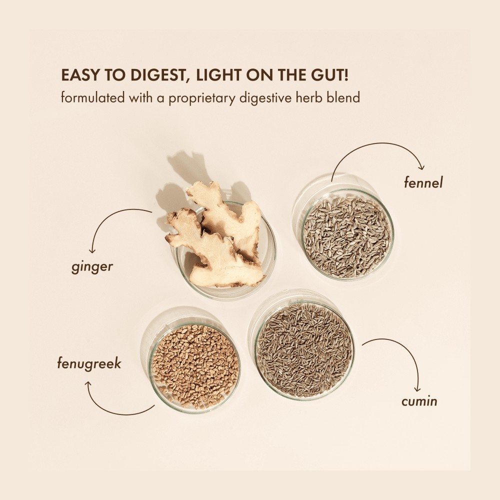 Cosmix No-Nonsense Plant Protein (Ratnagiri Mango)