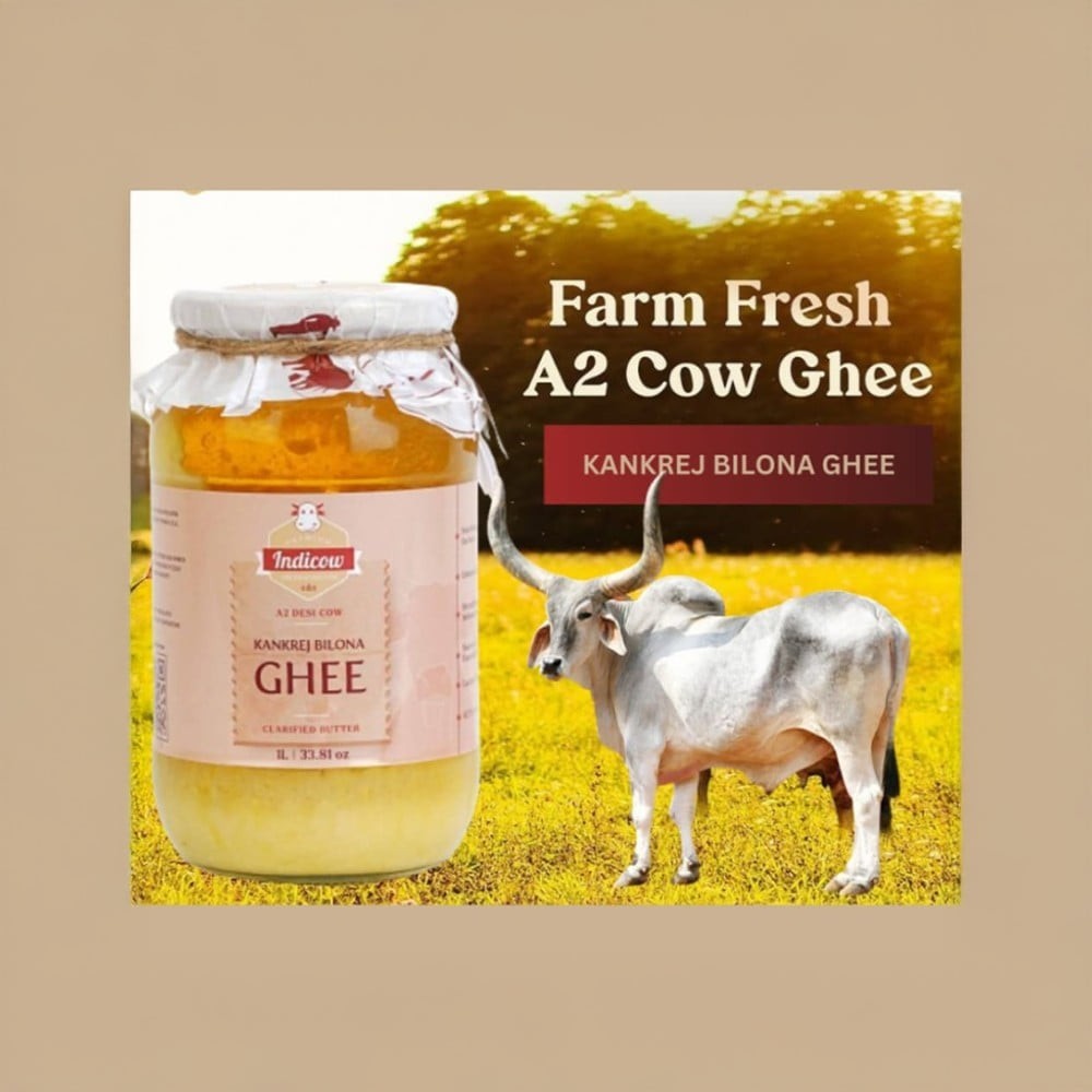Indicow Kankrej Bilona Cow A2 Ghee