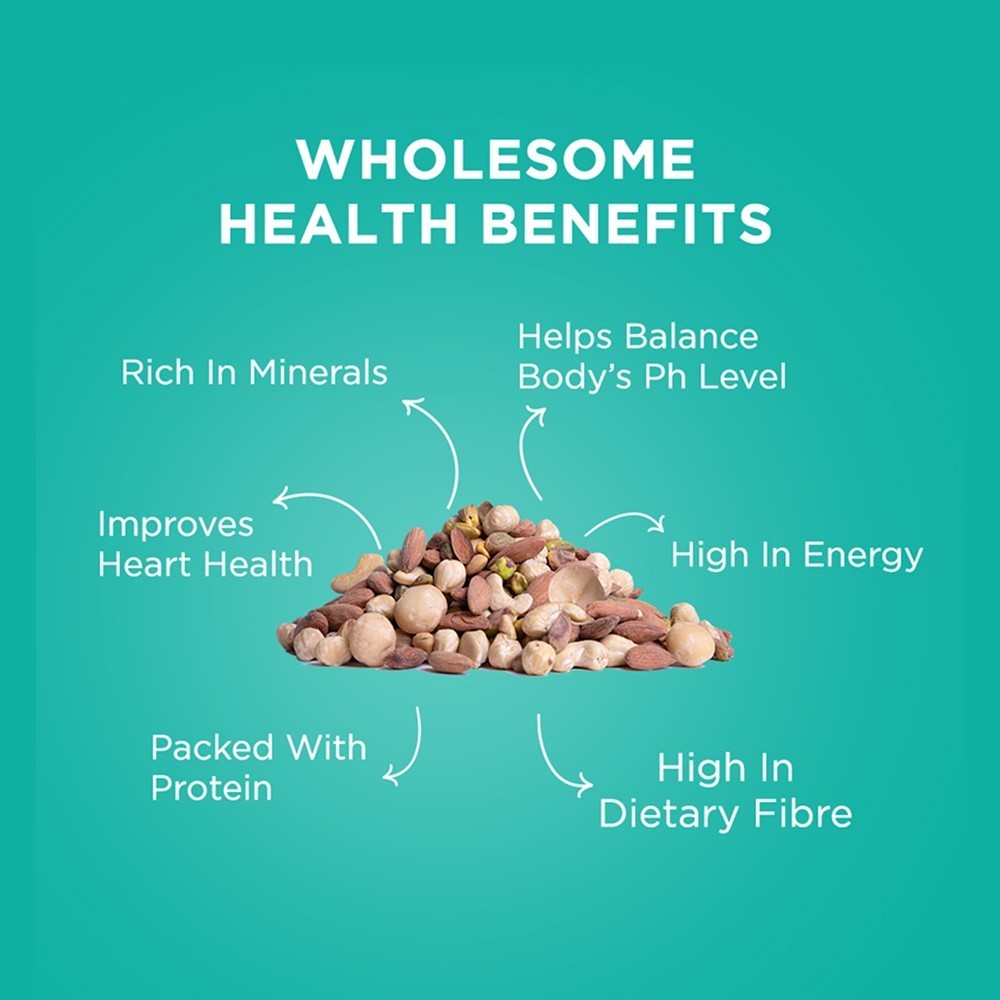 Nutty Gritties Daily Mix Nuts Roasted in Himalayan Pink Salt