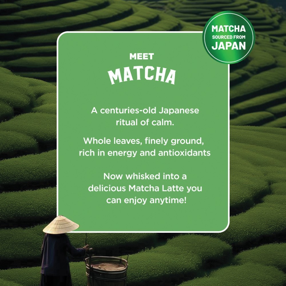 Sleepy Owl Classic Iced Matcha