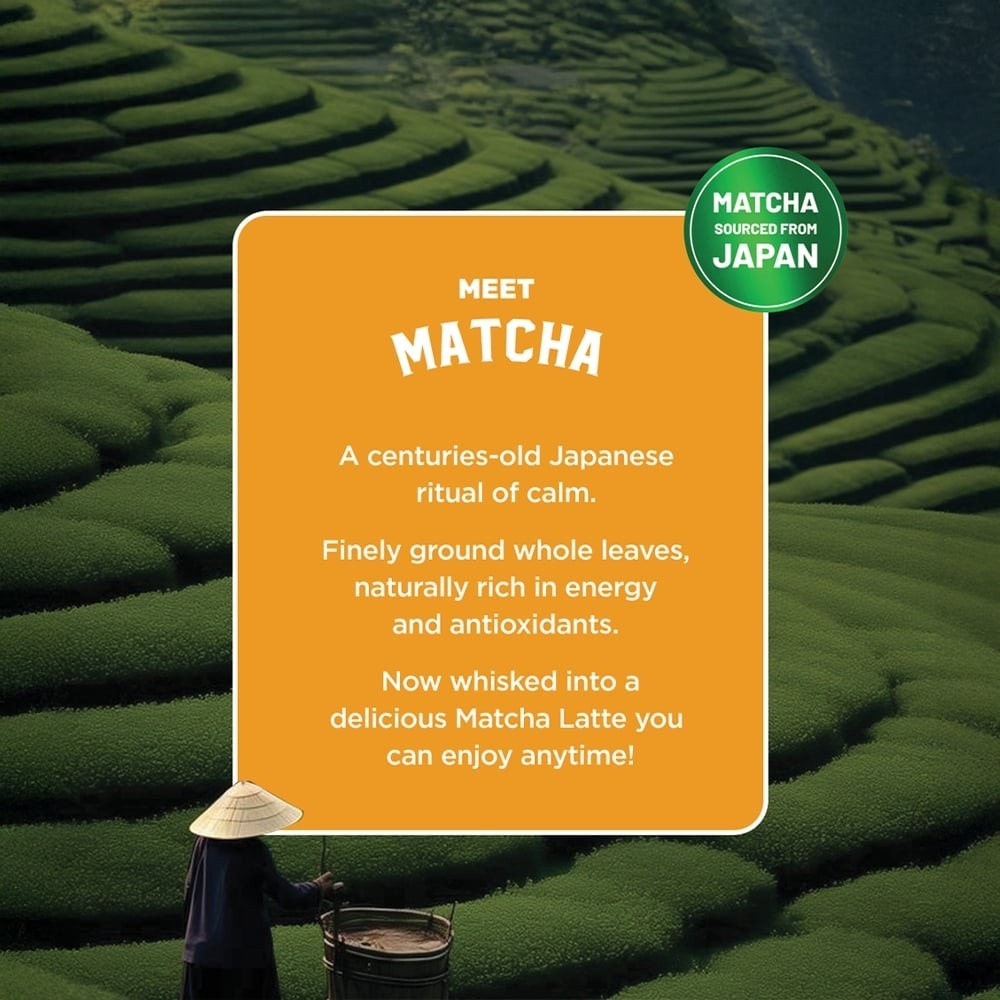 Sleepy Owl Mango Latte Matcha