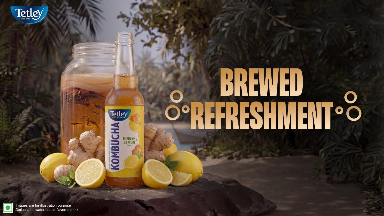 Tetley Kombucha Fermented Sparkling Drink (Ginger & Lemon)