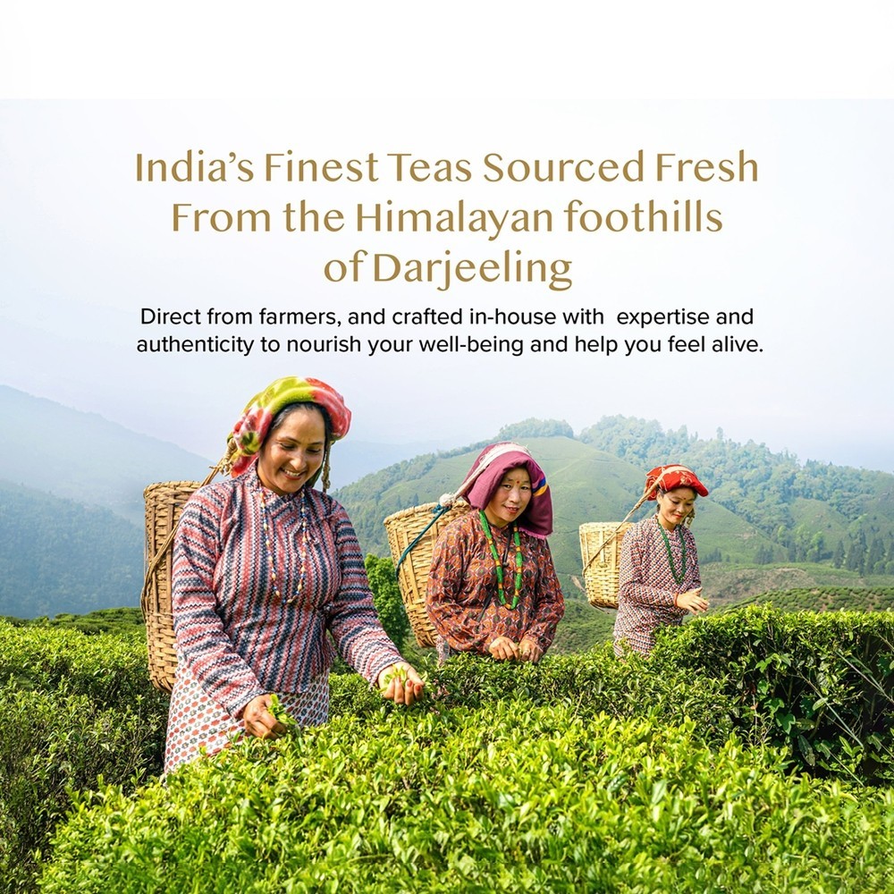 Vahdam Ashwagandha+ Detox Kahwa Green Tea Bags