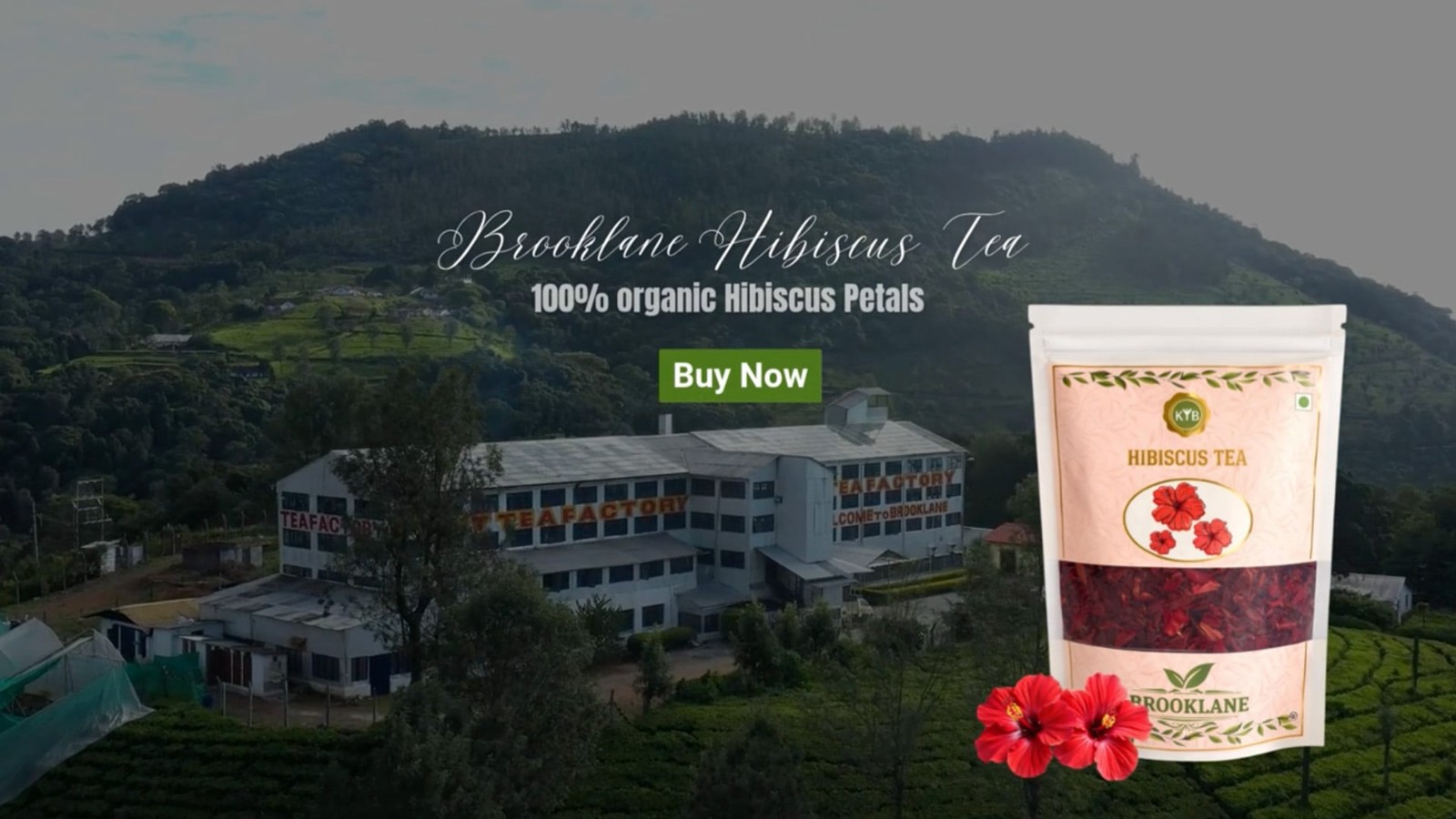 Brooklane Hibiscus Herbal Infusion